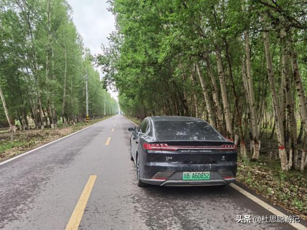 漢EV自駕新疆昭蘇縣，美食廣場排隊一小時終於吃上網紅燒烤