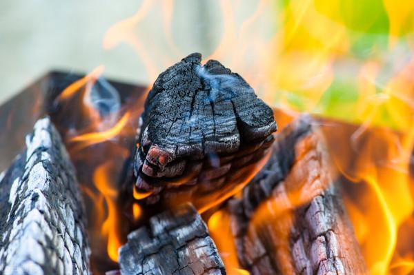 我想聊的物理 3：存在與演化