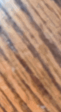 老人遛狗見貓鄰居暖心打招呼,出奇不意的溫暖,給人滿滿的正能量 老人遛狗見貓鄰居暖心打招呼,出奇不意的溫暖,給人滿滿的正能量