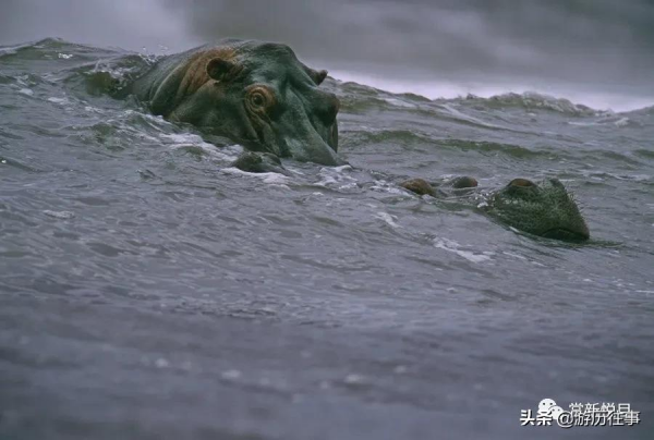 影響人類歷史的70張照片 影響人類歷史的70張照片