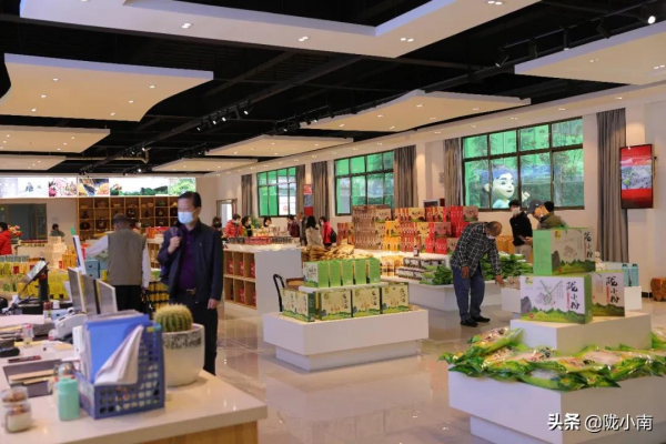 煙雨中，隴小南迎來遠道而來的朋友