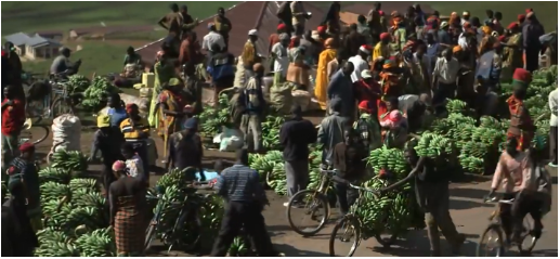 非洲腳踏車騎手：載500斤香蕉騎行100公里，時速70公里不踩剎車