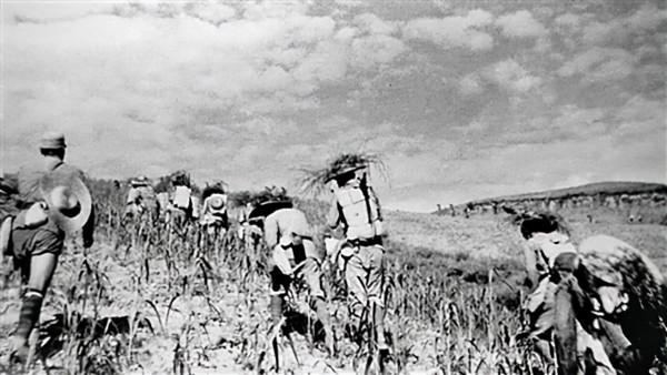 毛主席詢問俘虜人數,參謀:抓了一溝俘虜,主席:什麼叫一溝俘虜 毛主席詢問俘虜人數,參謀:抓了一溝俘虜,主席:什麼叫一溝俘虜