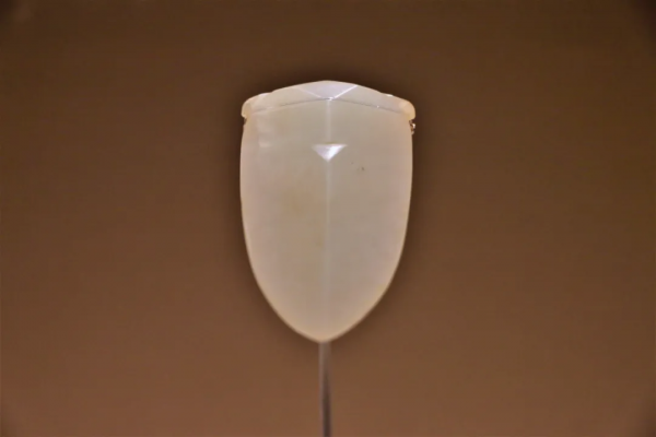 國博大展：《九邊圖》首現！內蒙古240多件重磅文物