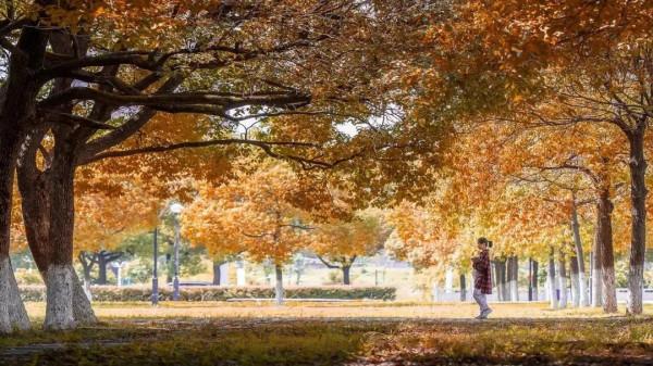 美麗的湖南科技大學