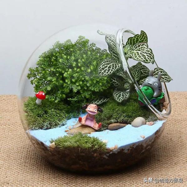 把大自然裝進瓶子裡，種在瓶子裡的微景觀究竟有多美？