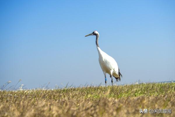 24個江蘇省“冷知識”有的連江蘇人都不清楚,來看看你知道多少? 24個江蘇省“冷知識”有的連江蘇人都不清楚,來看看你知道多少?
