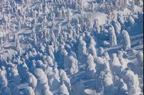 1902年，日本210人進雪山，3天后僅11人存活，倖存者說出噩夢歷程