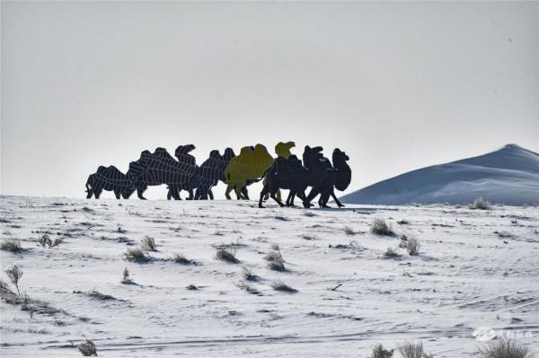 【北國風光&CenterDot;美麗民勤】雪落騰格里