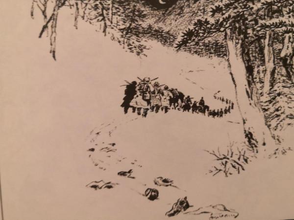 四野傳奇猛將賀晉年，剿匪專治各種不服，百年匪患，一舉蕩平