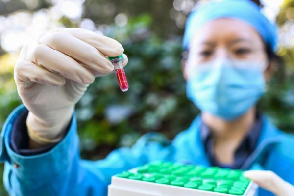 圍觀北京動物園水鳥體檢現場:鳥兒也不愛被捅嗓子眼兒 圍觀北京動物園水鳥體檢現場:鳥兒也不愛被捅嗓子眼兒