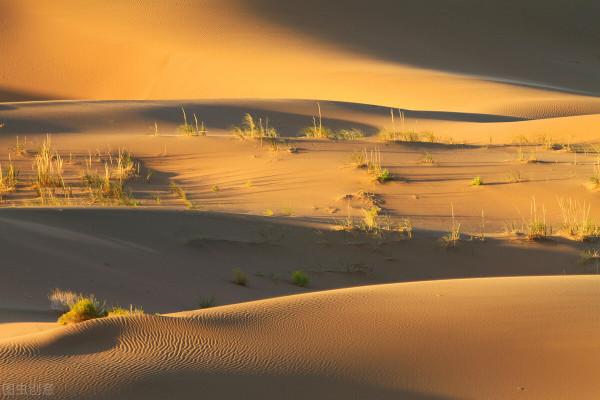 金色沙漠,夢幻之旅 金色沙漠,夢幻之旅
