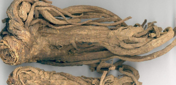 僅需四味藥，散寒解表，祛風止痛，專治肩周炎