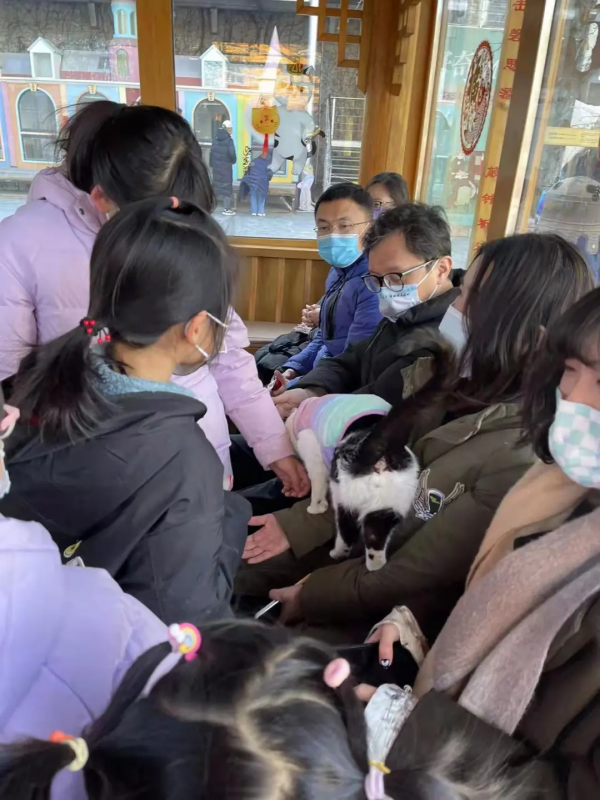 小貓咪都是怎樣&OpenCurlyDoubleQuote;爭寵&rdquo;的？