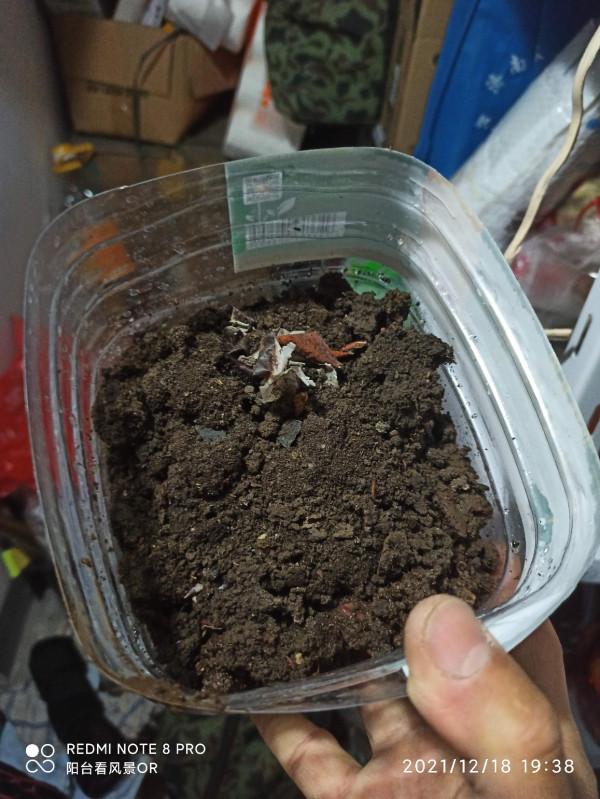 釣魚人的智慧無窮無盡,地下室秒變複式倉庫 釣魚人的智慧無窮無盡,地下室秒變複式倉庫