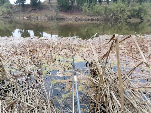 冬季不想空軍，跟大師學釣魚