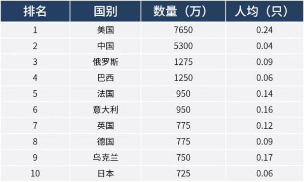 我們都在被捲入貓時代 我們都在被捲入貓時代