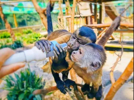 元旦最強攻略出爐！小眾美景、愜意度假、全家出遊都有，拿走去耍