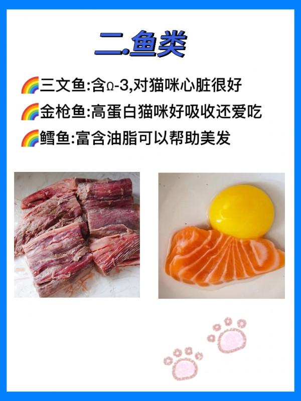 這些食物貓咪是能吃的，而且營養成分高