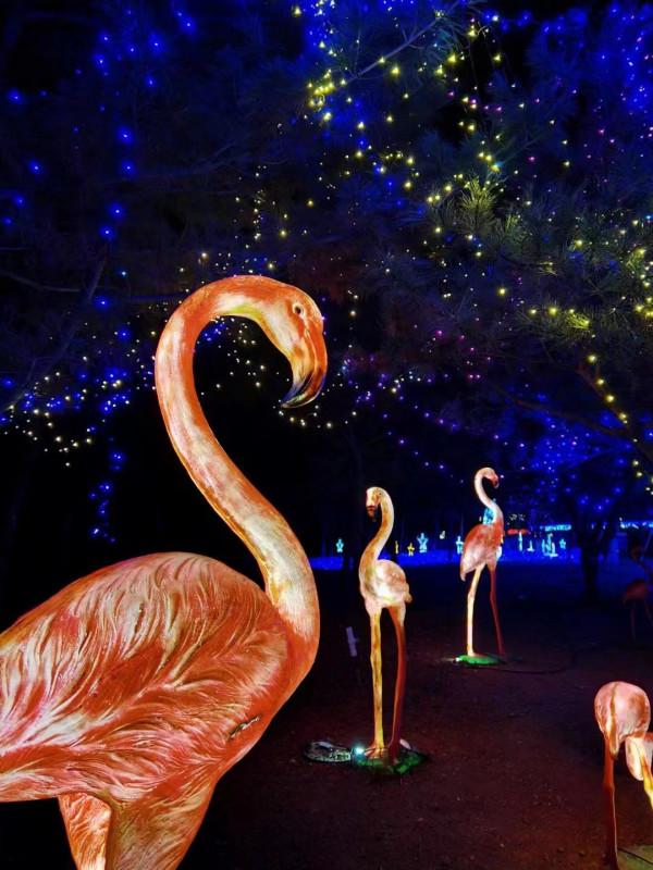 青龍湖公園-新春遊園