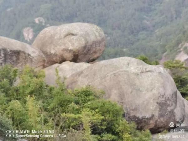 朋友圈2021年第31期