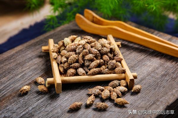 鼻塞、鼻癢、流涕不止？送你十味中藥，通鼻竅，瀉肺熱，