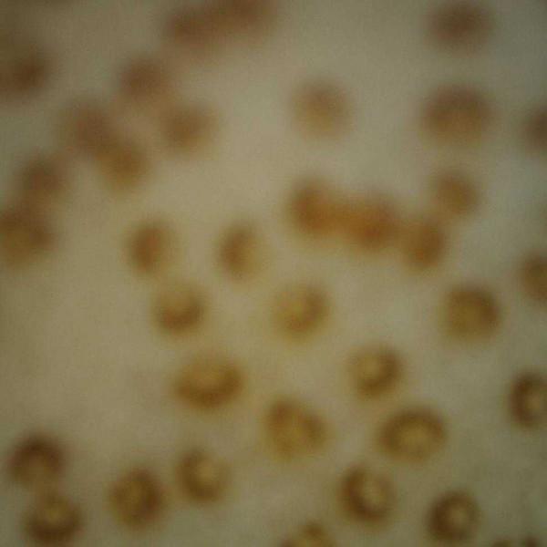 你知道實心竹這些秘密嗎I實心竹及文玩(10) 你知道實心竹這些秘密嗎I實心竹及文玩(10)