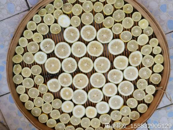 屋裡養盆“香水花”,活脫脫的“活香水”,滿屋香味還特別耐寒 屋裡養盆“香水花”,活脫脫的“活香水”,滿屋香味還特別耐寒