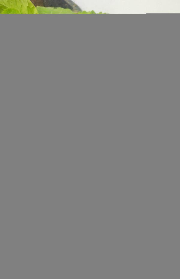 陽臺種植小白菜，只需3個步驟，發芽快長勢旺，好吃好看又新鮮