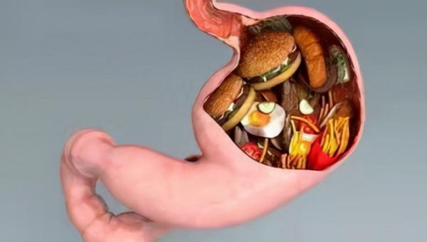 胃真的會根據食量變大變小？醫生用一篇文章告訴你