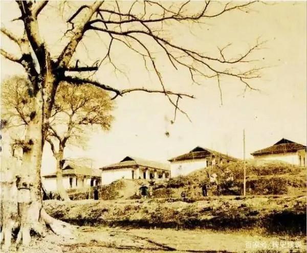 大清奇案錄：《南瓜案》