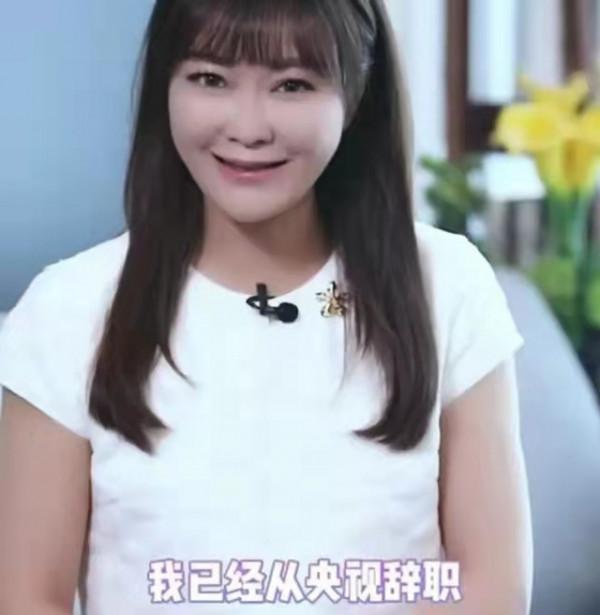 從央視辭職的5位主持人，事業豐收卻有遺憾，最大58歲，最小29歲