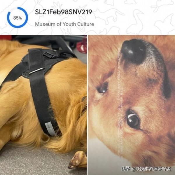 能檢測乳腺癌,還能讓漸凍症患者“開口說話”,谷歌這次有點東西 能檢測乳腺癌,還能讓漸凍症患者“開口說話”,谷歌這次有點東西