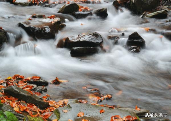 世事消磨幾度秋•隨筆 世事消磨幾度秋•隨筆