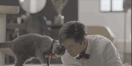 男明星的溫柔與寵溺都給了萌寵,好羨慕 男明星的溫柔與寵溺都給了萌寵,好羨慕