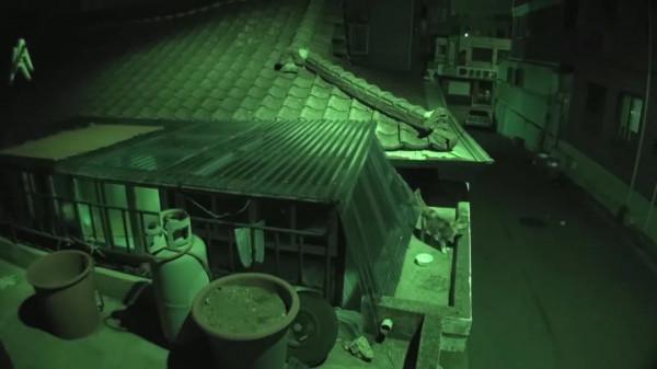 窗外的貓咪每夜都會哭泣,大家都覺得很害怕,找到原因後被感動了 窗外的貓咪每夜都會哭泣,大家都覺得很害怕,找到原因後被感動了