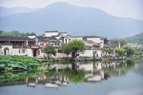 “小鎌倉”爆紅旅遊圈,光中國就有61個? “小鎌倉”爆紅旅遊圈,光中國就有61個?