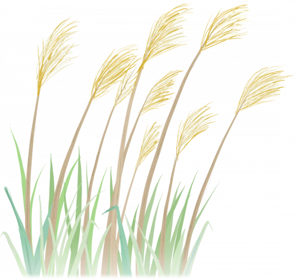 開封景區動態丨萬歲山·大宋武俠城面向全國免費開放一個月 開封景區動態丨萬歲山·大宋武俠城面向全國免費開放一個月