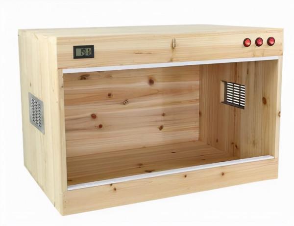 鬃獅蜥新手入門飼養指南