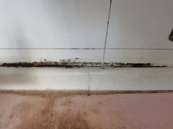 入住2年多，90後妹子家裡“乾淨如初”，全靠當初這些家居決定