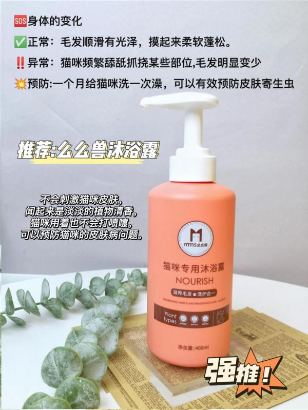 貓咪生病的14個訊號！早發現能救命