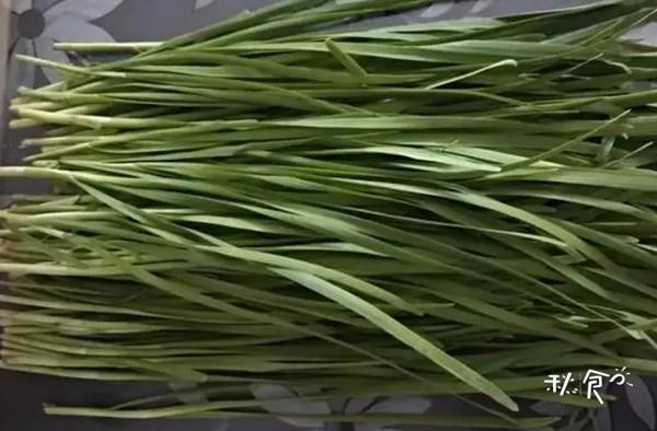 早春時節，這4種&OpenCurlyDoubleQuote;營養全面&rdquo;的食物可多吃，應季而食，好處多