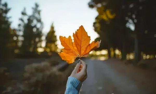 傳奇人生與鄉村生活，生在細節中，活在生活裡