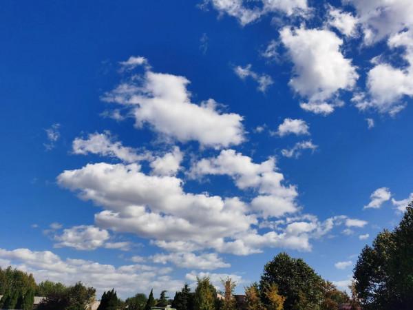 俯臥撐打卡第三天 俯臥撐打卡第三天