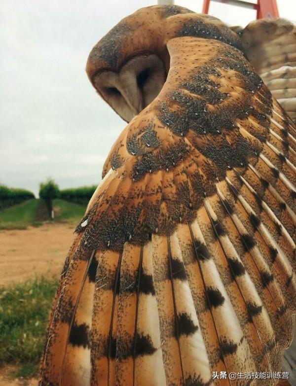 35張圖片帶我們領略大自然的狂野和美麗 35張圖片帶我們領略大自然的狂野和美麗