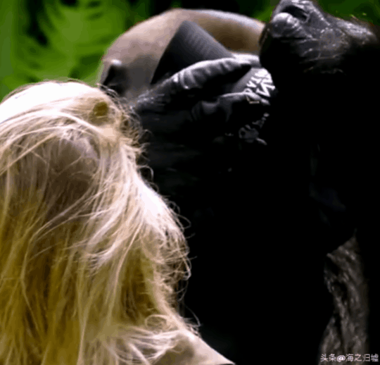 看完這16張圖片，被動物們的感情驚訝到了