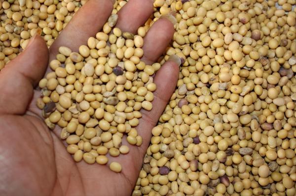 美國損招頻出，瓦解蘇聯後又對中國故技重施，最後的結果怎麼樣了？