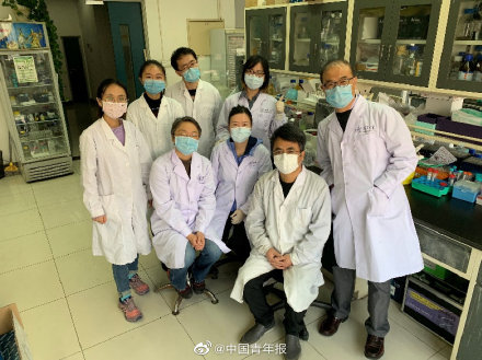 清華髮長文回溯新冠特效藥的研發