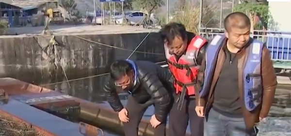 2009年老闆投入6000萬尾魚苗，魚集體失蹤，4年後靠魚年收3000萬