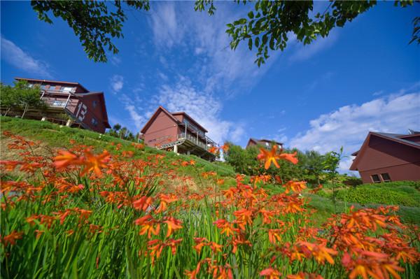 大理南澗：無量藥谷度週末